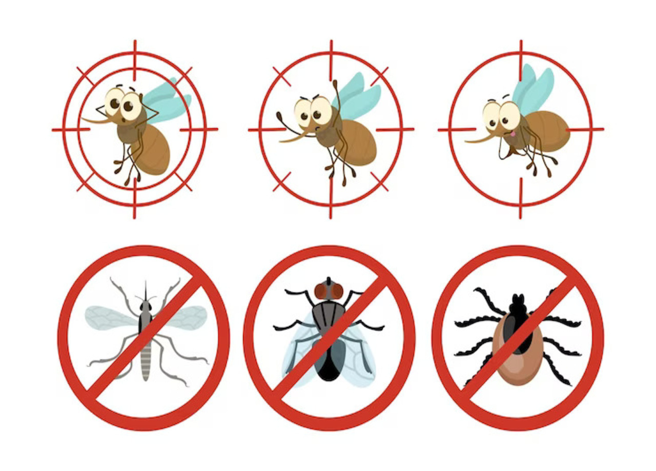 Common Pest Problems