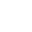 pest inspection icon
